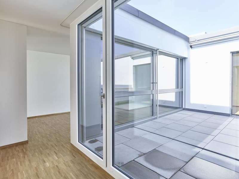 Hier beginnt Ihr neues Zuhause im Zürcher Freilager! (5)