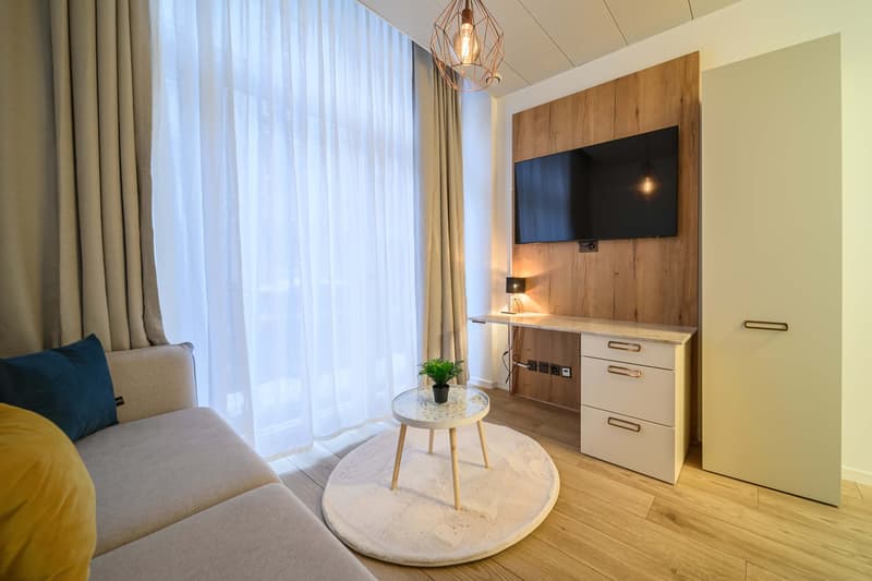 Modern 1.5-room apartment (furnished) in Zürich Wiedikon (2)