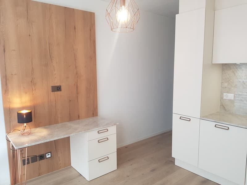 Modern 1.5-room apartment (furnished) in Zürich Wiedikon (7)