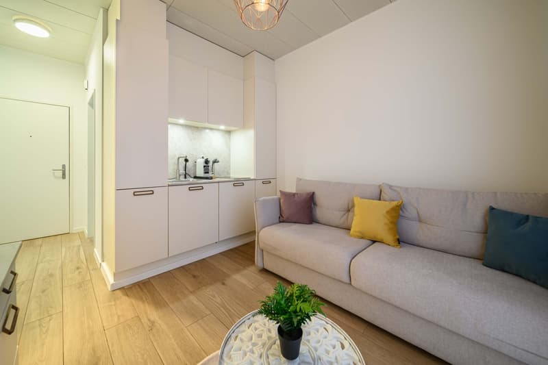 stunning 1,5 Raum Serviced Apartment in der Stadt Zürich (2)