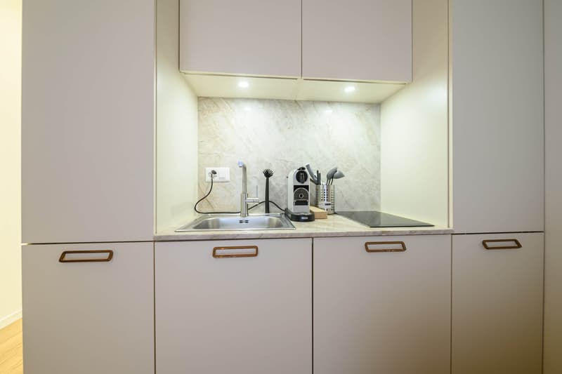 stunning 1,5 Raum Serviced Apartment in der Stadt Zürich (5)