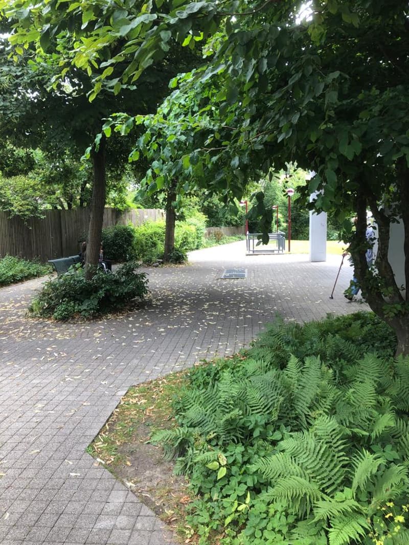 Lush green park with trees, brick walkway, and ferns lining the path