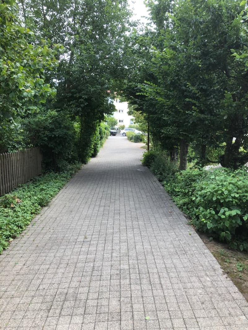 The image shows a paved walkway surrounded by lush, green foliage. The path is lined with trees and shrubs, creating a serene and peaceful environment. The walkway appears to be made of brick or stone pavers and leads to a residential area in the distance