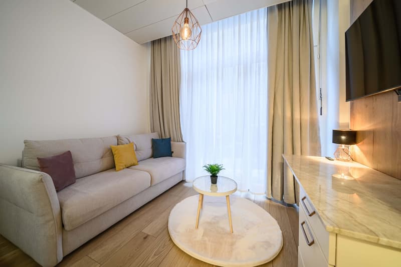 stunning 1.5 Room serviced Apartment in the City of Zurich (3)