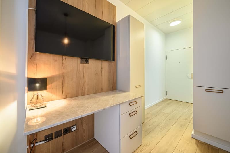 Appartement 1.5 pièces moderne (meublé) à Zürich Wiedikon (3)