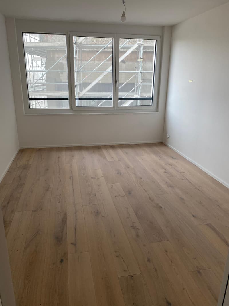 *EXKLUSIV* Ihre Traumwohnung (Attika) im Neubau Areal Freiegg (7)