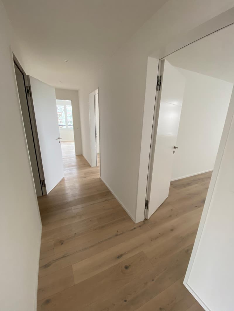 *EXKLUSIV* Ihre Traumwohnung (Attika) im Neubau Areal Freiegg (10)