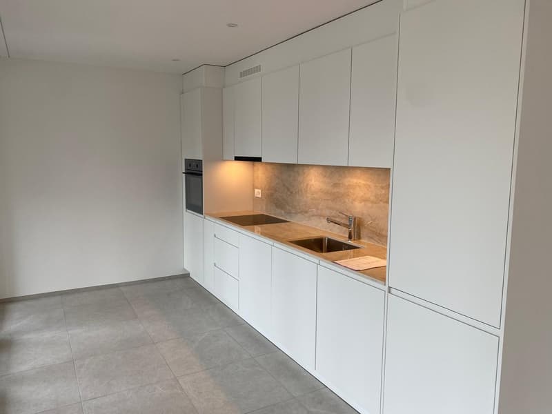 *EXKLUSIV* Ihre Traumwohnung (Attika) im Neubau Areal Freiegg (12)