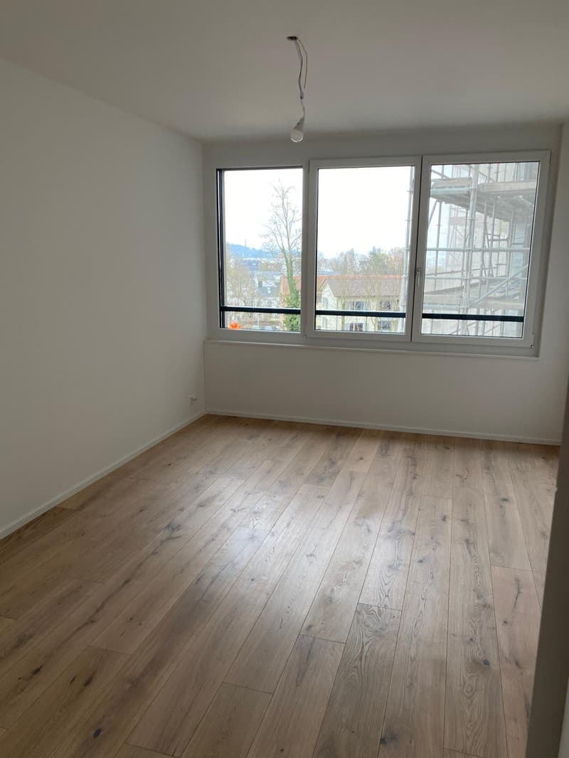 *EXKLUSIV* Ihre Traumwohnung (Attika) im Neubau Areal Freiegg (4)