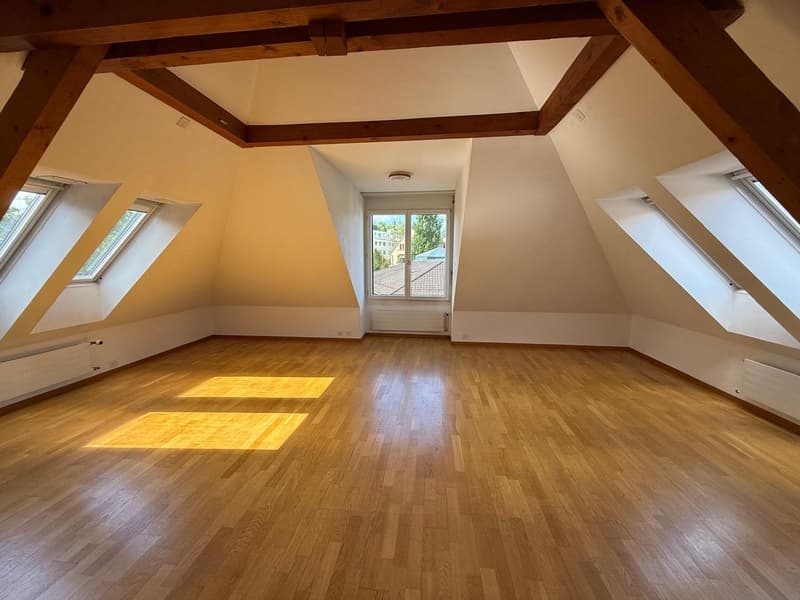 Charmant appartement 2 pièces sur Rieterstrasse à Zurich 8002 – disponible immédiatement ! (2)