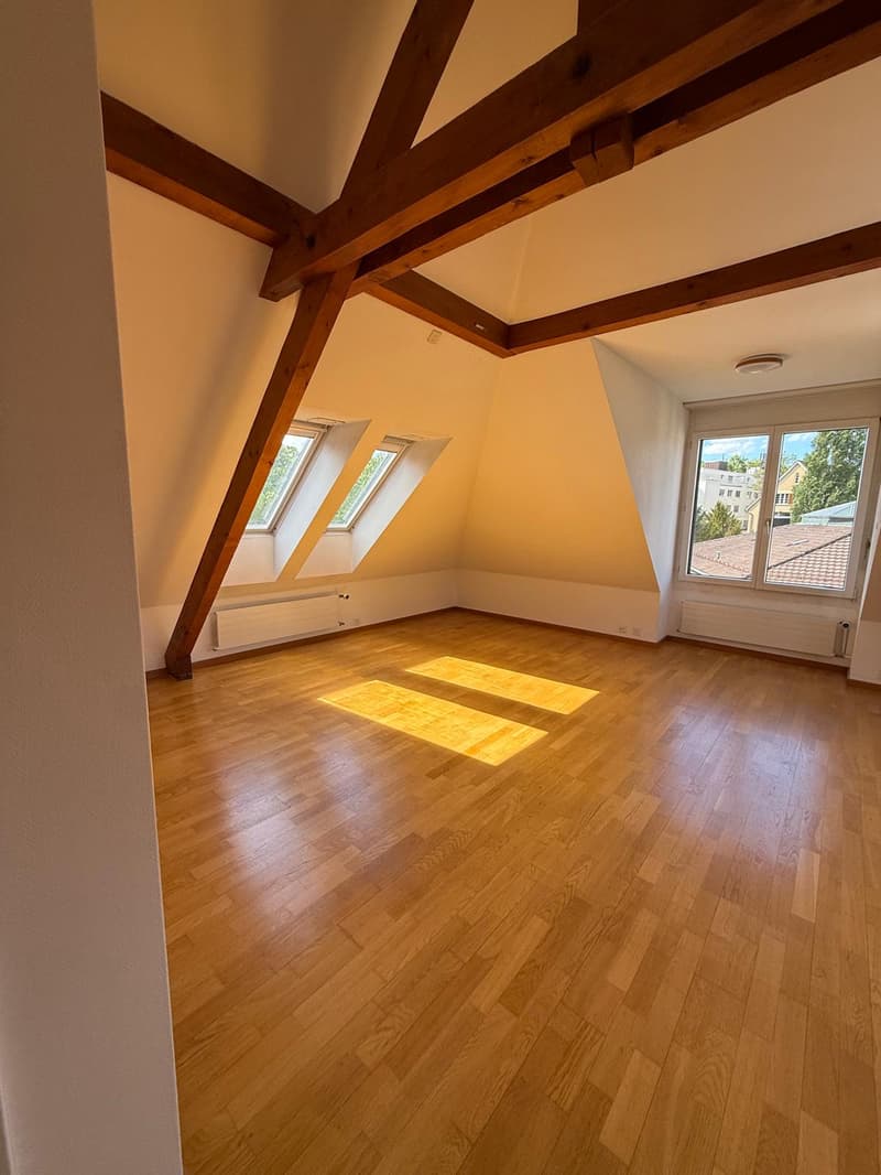Charmant appartement 2 pièces sur Rieterstrasse à Zurich 8002 – disponible immédiatement ! (5)