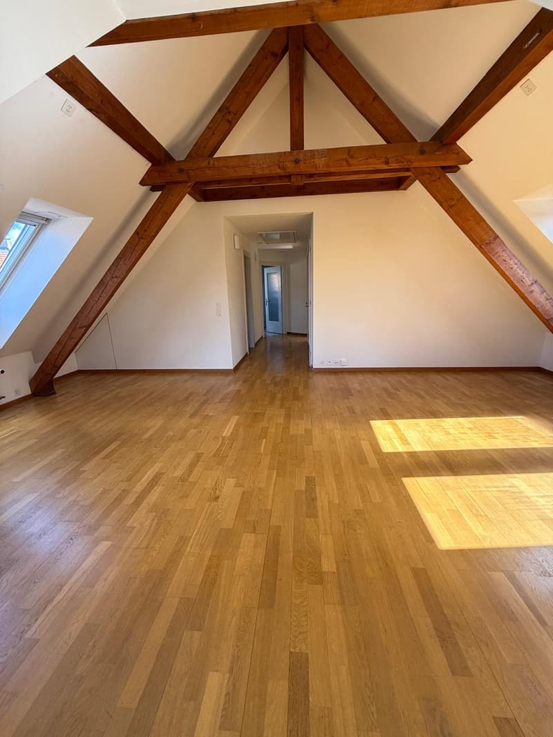 Charmant appartement 2 pièces sur Rieterstrasse à Zurich 8002 – disponible immédiatement ! (3)
