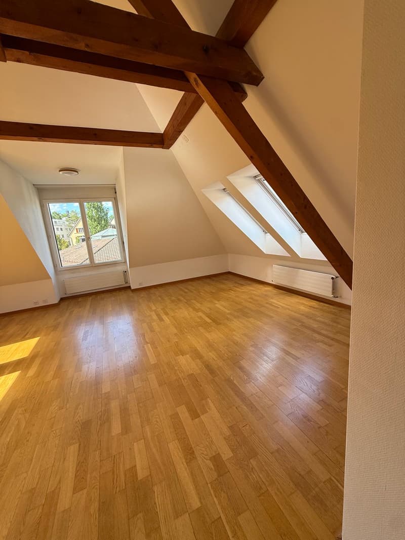 Charmant appartement 2 pièces sur Rieterstrasse à Zurich 8002 – disponible immédiatement ! (4)