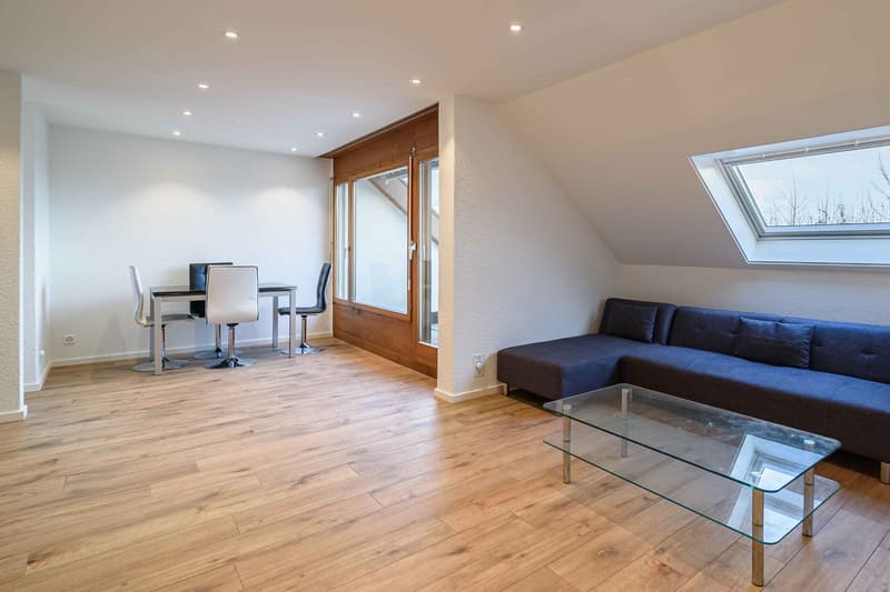 Vivere con stile e comfort – Appartamento 2.5 locali appena ristrutturato in affitto (5)