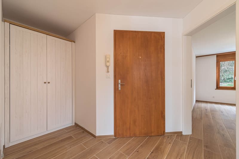 Vivere con stile e comfort – Appartamento 2.5 locali appena ristrutturato in affitto (9)