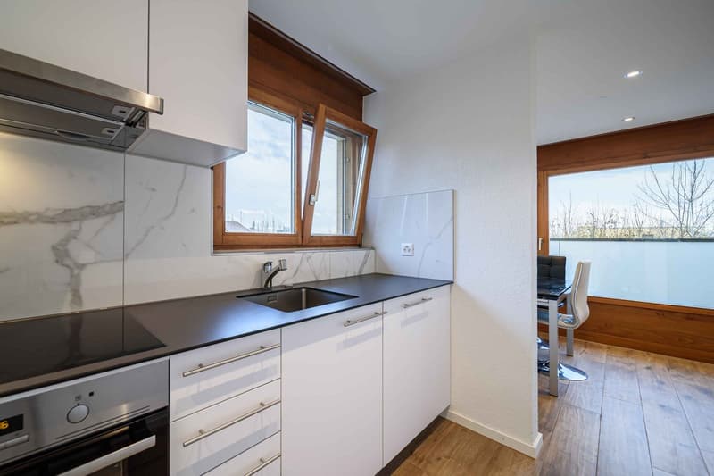 Vivere con stile e comfort – Appartamento 2.5 locali appena ristrutturato in affitto (14)