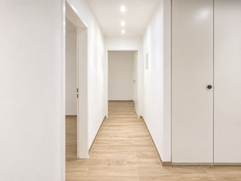 Newly renovated large 4.5 room apartment with connection to a private large park (4)