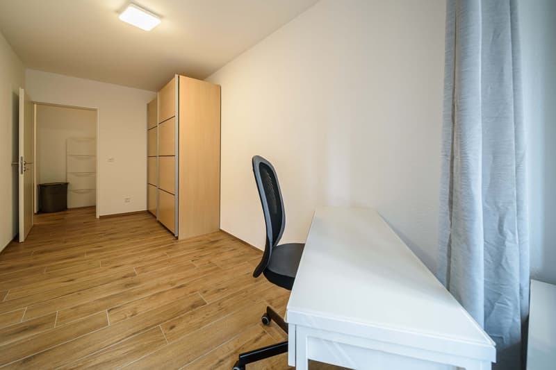 Neu renovierte große 3.5 Zimmerwohnung -Penthouse mit Anbindung an privatem großen Park (10)