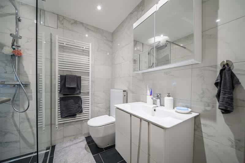 Neu renovierte große 3.5 Zimmerwohnung -Penthouse mit Anbindung an privatem großen Park (3)