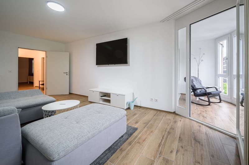 Neu renovierte große 3.5 Zimmerwohnung -Penthouse mit Anbindung an privatem großen Park (6)