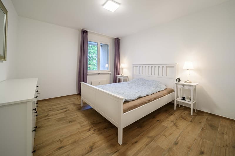Neu renovierte große 3.5 Zimmerwohnung -Penthouse mit Anbindung an privatem großen Park (7)