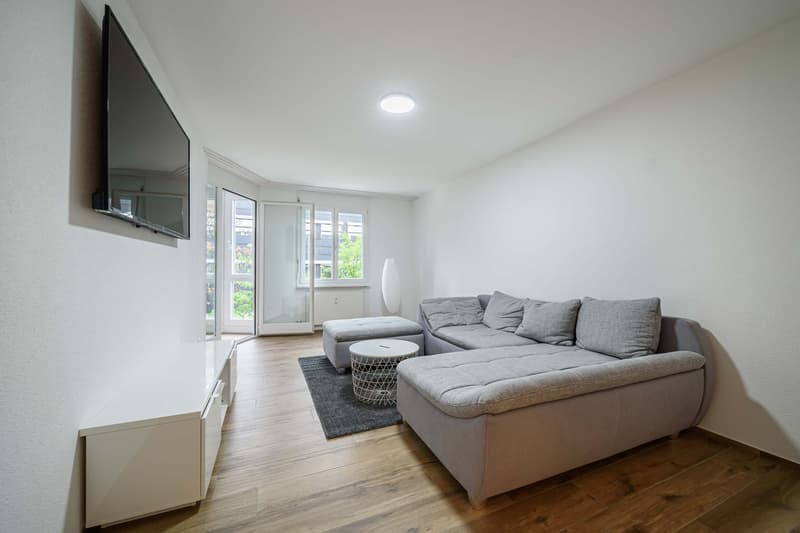 Neu renovierte große 3.5 Zimmerwohnung -Penthouse mit Anbindung an privatem großen Park (5)