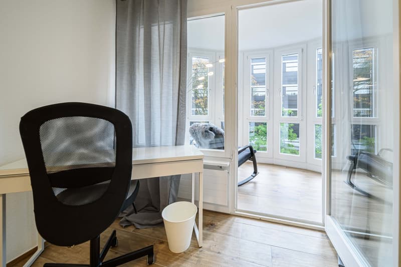 Neu renovierte große 3.5 Zimmerwohnung -Penthouse mit Anbindung an privatem großen Park (11)