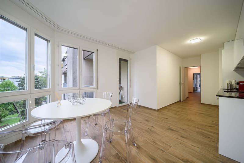 Neu renovierte große 3.5 Zimmerwohnung -Penthouse mit Anbindung an privatem großen Park (14)
