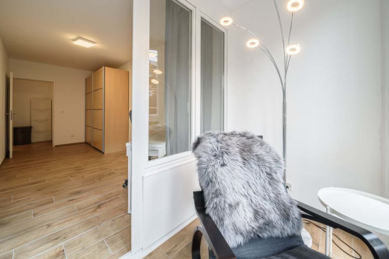 Neu renovierte große 3.5 Zimmerwohnung -Penthouse mit Anbindung an privatem großen Park (12)