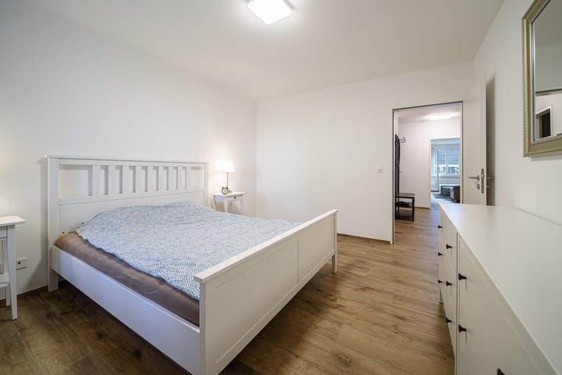 Neu renovierte große 3.5 Zimmerwohnung -Penthouse mit Anbindung an privatem großen Park (8)