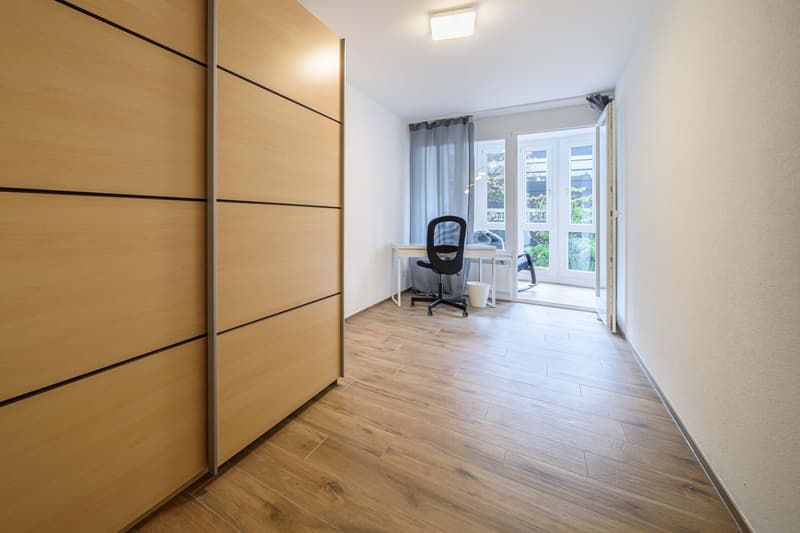 Neu renovierte große 3.5 Zimmerwohnung -Penthouse mit Anbindung an privatem großen Park (9)