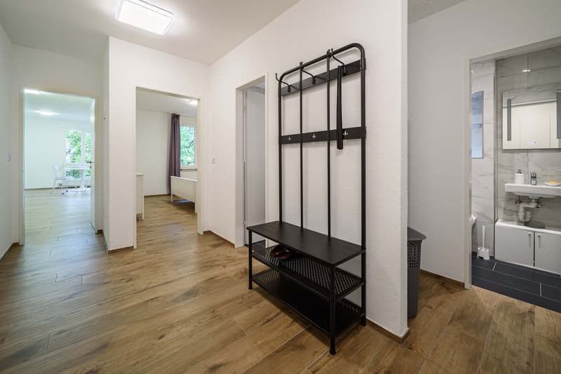 Neu renovierte große 3.5 Zimmerwohnung -Penthouse mit Anbindung an privatem großen Park (17)