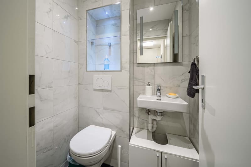 Neu renovierte große 3.5 Zimmerwohnung -Penthouse mit Anbindung an privatem großen Park (4)