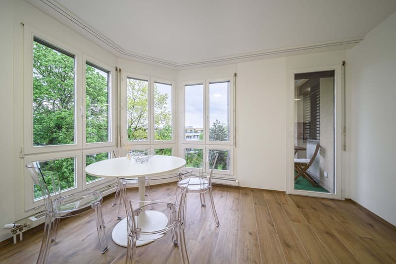 Neu renovierte große 3.5 Zimmerwohnung -Penthouse mit Anbindung an privatem großen Park (15)
