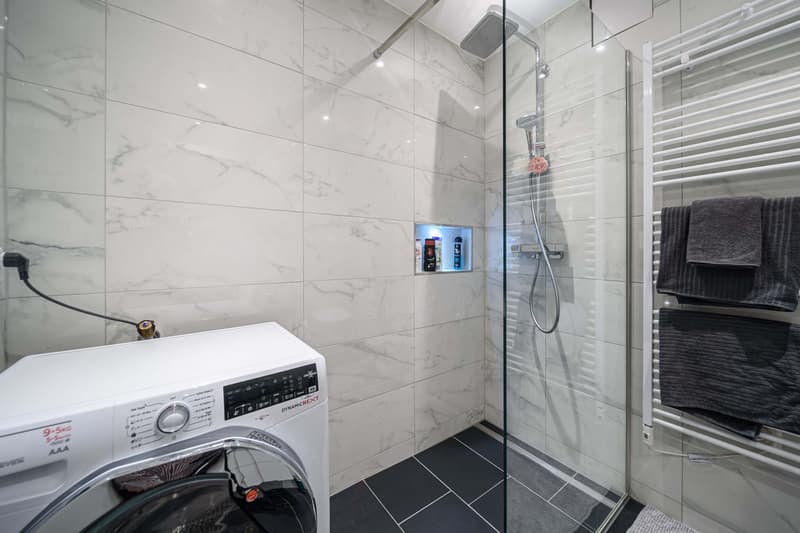 Neu renovierte große 3.5 Zimmerwohnung -Penthouse mit Anbindung an privatem großen Park (16)