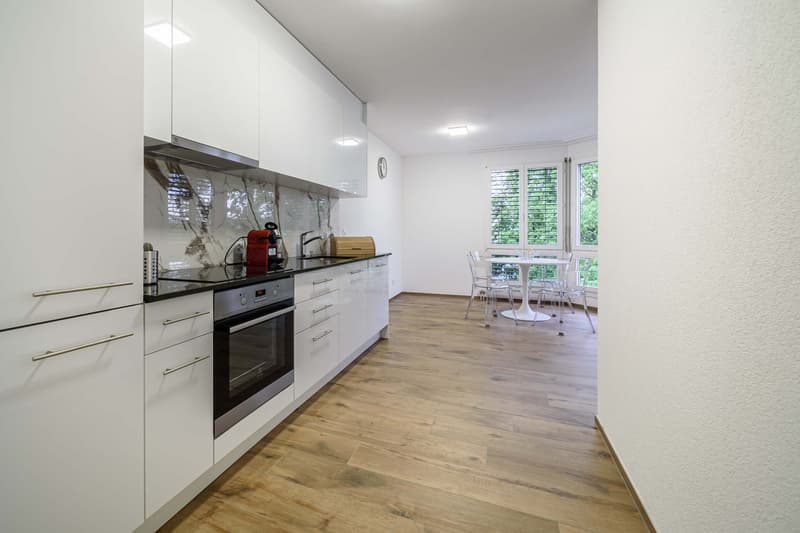 Neu renovierte große 3.5 Zimmerwohnung -Penthouse mit Anbindung an privatem großen Park (2)