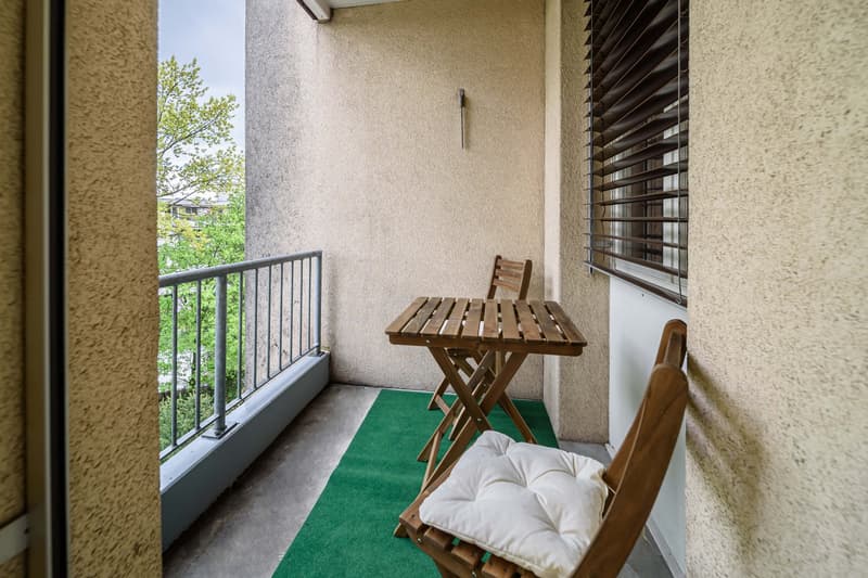 Neu renovierte große 3.5 Zimmerwohnung -Penthouse mit Anbindung an privatem großen Park (19)