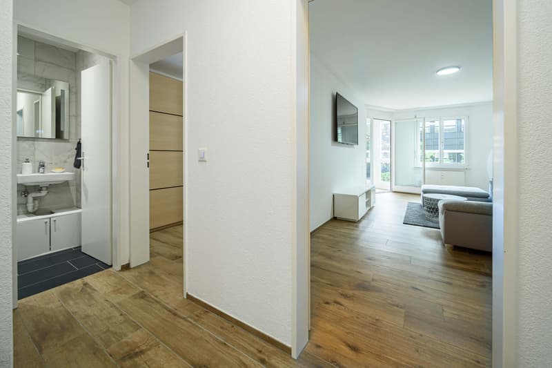 Neu renovierte große 3.5 Zimmerwohnung -Penthouse mit Anbindung an privatem großen Park (18)