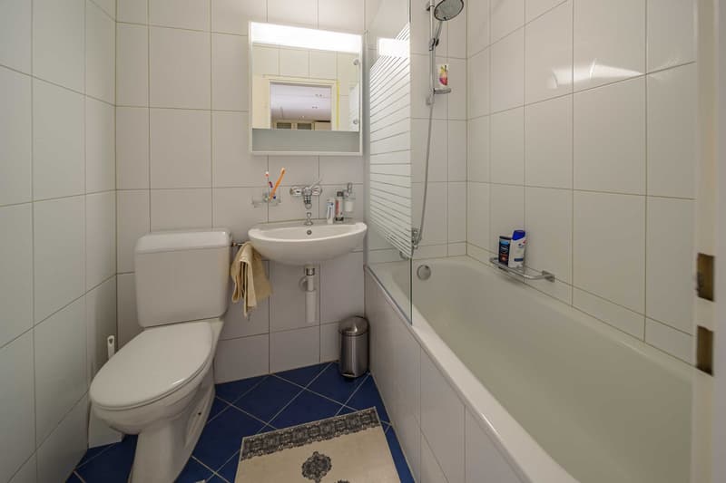 Appartamento esclusivo di 2,5 locali a Zug – Ristrutturato e arredato in modo moderno con vista sul lago. (23)