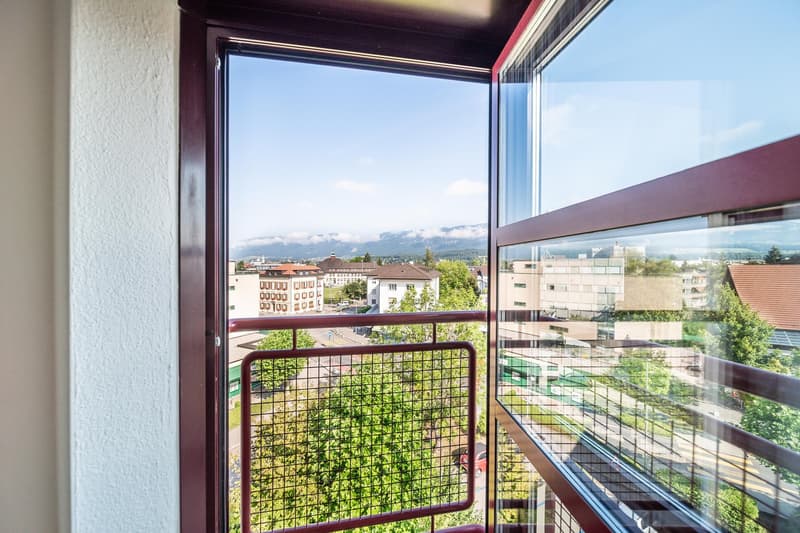 French windows, balcony, red railings, distant city view