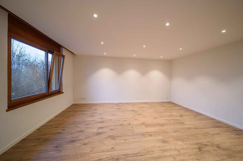 Exklusive 3.5-Zimmer-Luxuswohnung – frisch renoviert & bezugsbereit! (7)