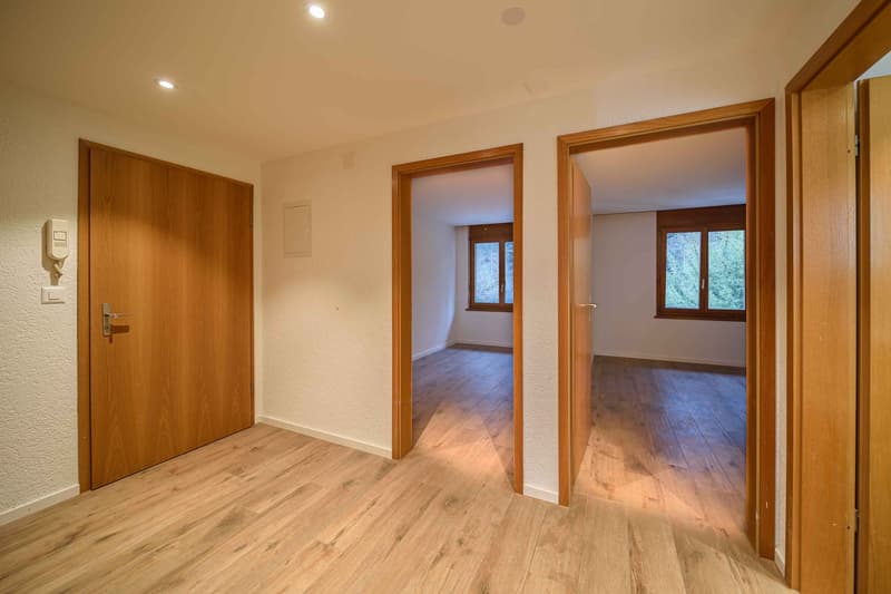 Exklusive 3.5-Zimmer-Luxuswohnung – frisch renoviert & bezugsbereit! (5)