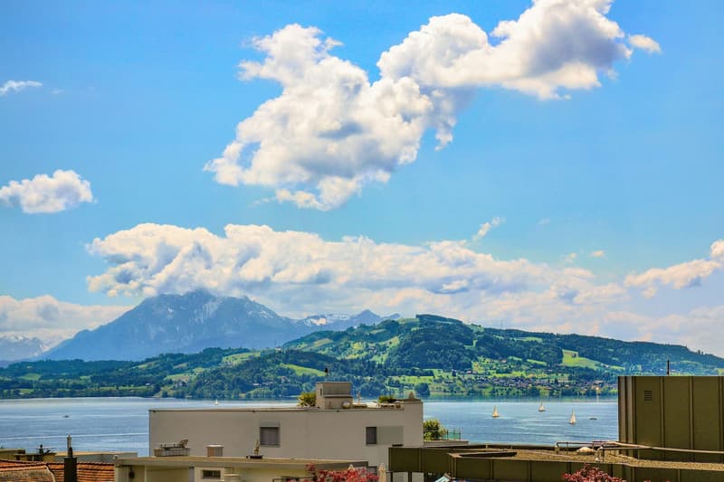 Exklusive 1.5-Zimmer-Wohnung in Zug – Neu renoviert & modern möbliert mit Seesicht. (1)