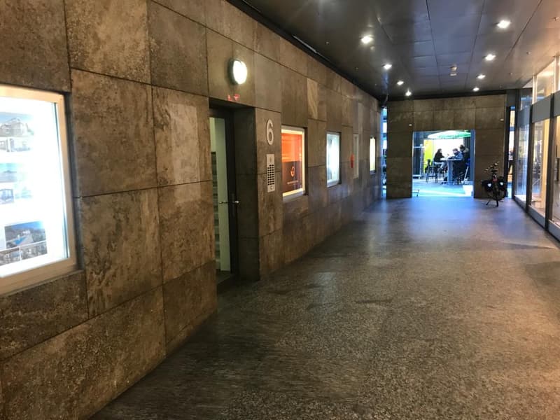 Exklusive 2.5-Zimmer-Wohnung in Zug – Neu renoviert & modern möbliert mit Seesicht. (26)