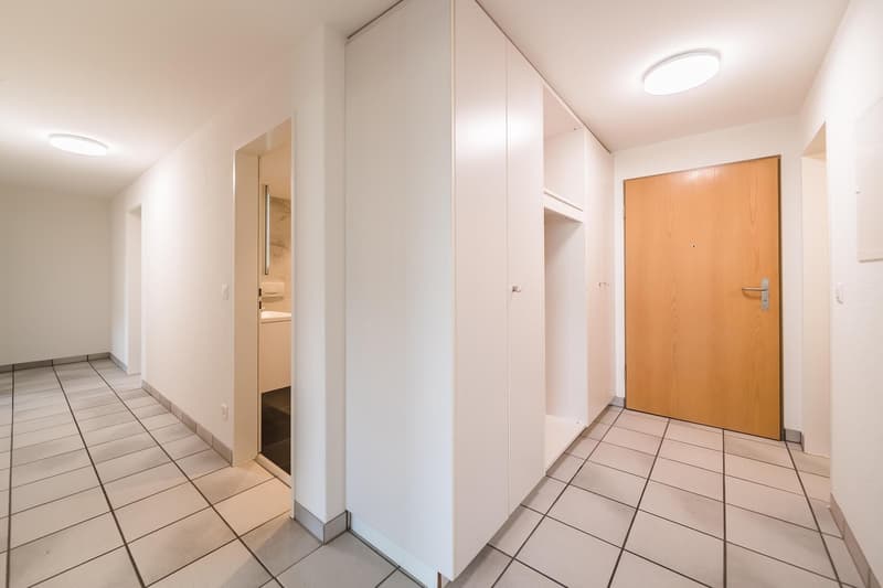 Helle wunderschöne neu renovierte 4.5-Zimmer-Wohnung an zentraler Lage. (12)