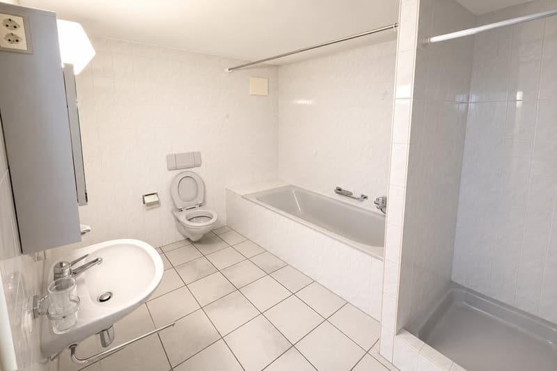Helle wunderschöne neu renovierte 4.5-Zimmer-Wohnung an zentraler Lage. (6)