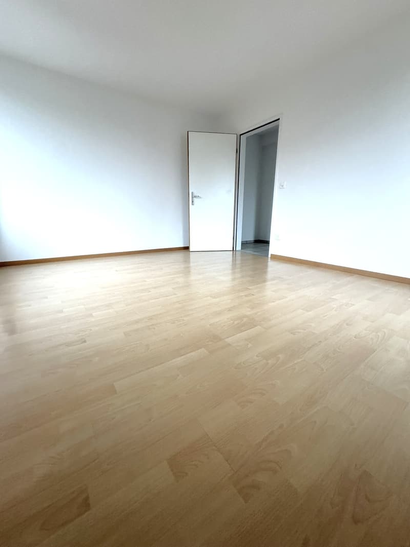 empty room, hardwood floors, white walls, 2 doors