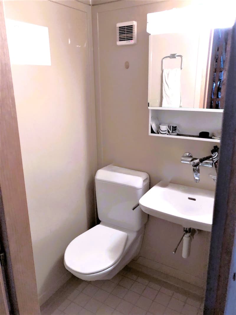 small bathroom with toilet, sink, and mirror
