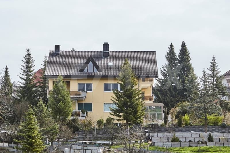 4 locali (DW) oasi nel verde con vista panoramica nel quartiere Bergfrieden, Dietikon (10)