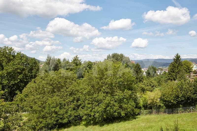 4 locali (DW) oasi nel verde con vista panoramica nel quartiere Bergfrieden, Dietikon (9)